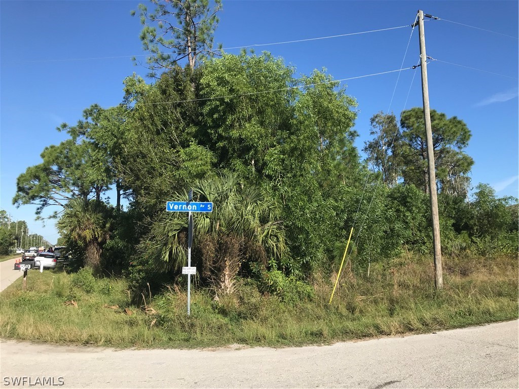 2440-2442 Vernon Avenue S Lehigh Acres FL 33973 224056102 image1