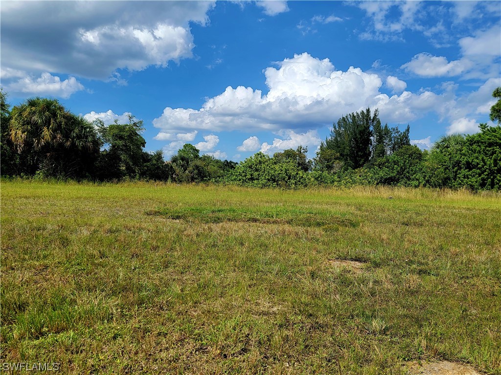 2441 Diplomat Parkway W Cape Coral FL 33993 223036794 image1