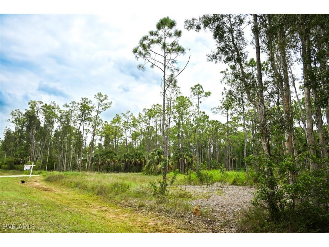 24443 Rocky Road Bonita Springs FL 34135 224072855 image3