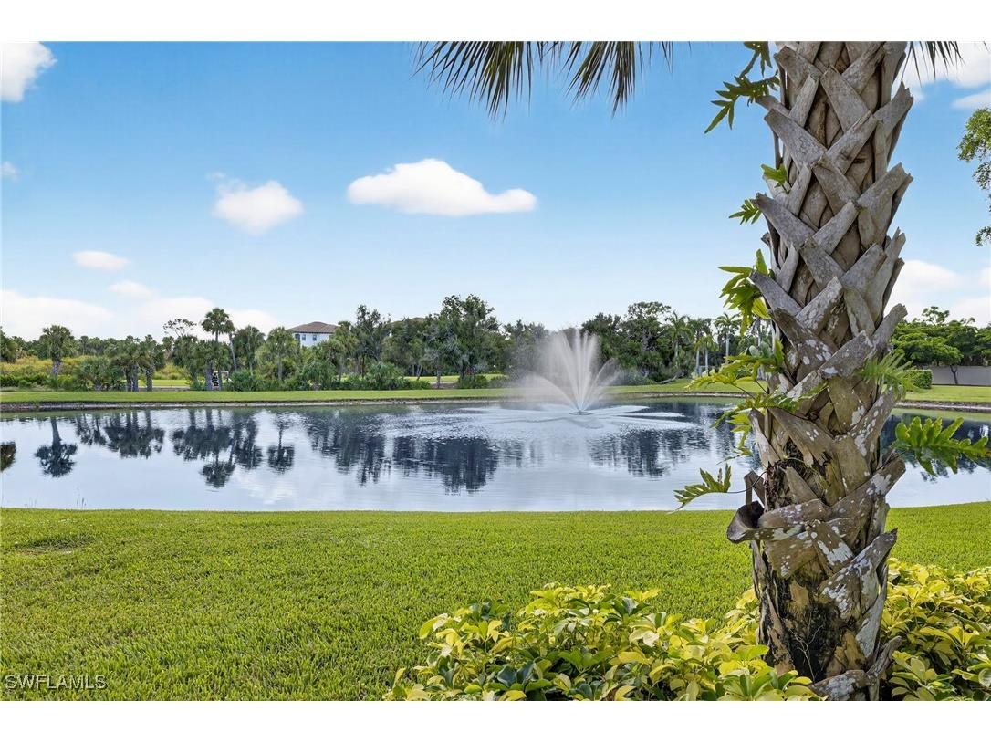 24451 Terzetto Lane #402 Bonita Springs FL 34134 225069145 image17