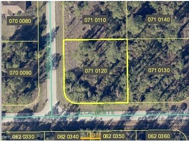 245 Bowman Avenue S Lehigh Acres FL 33974 223066046 image1