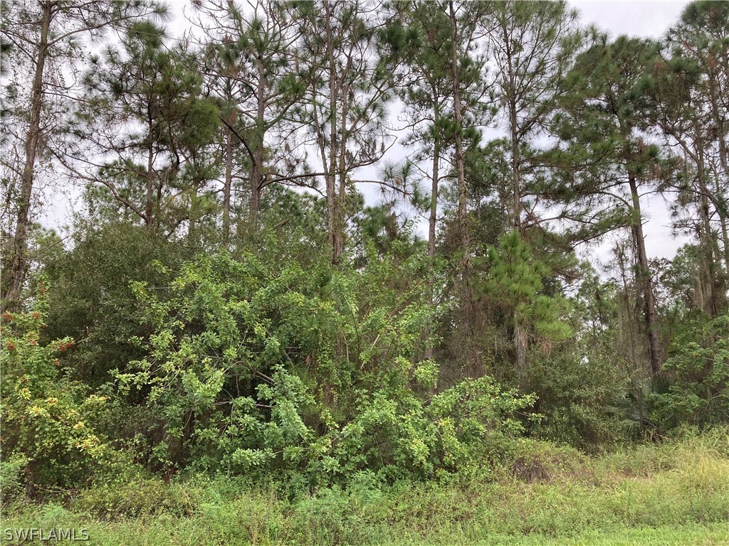 245 N Palomino Street Clewiston FL 33440 221080100 image1