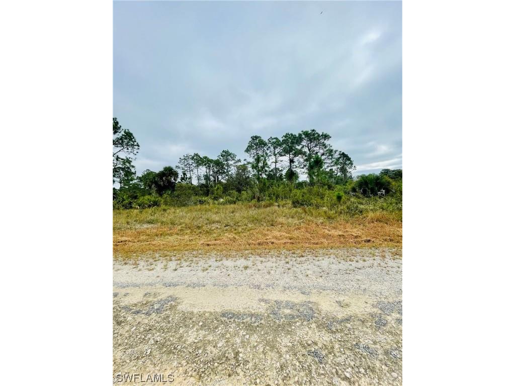 245 Nancy Avenue S Lehigh Acres FL 33974 223087138 image1