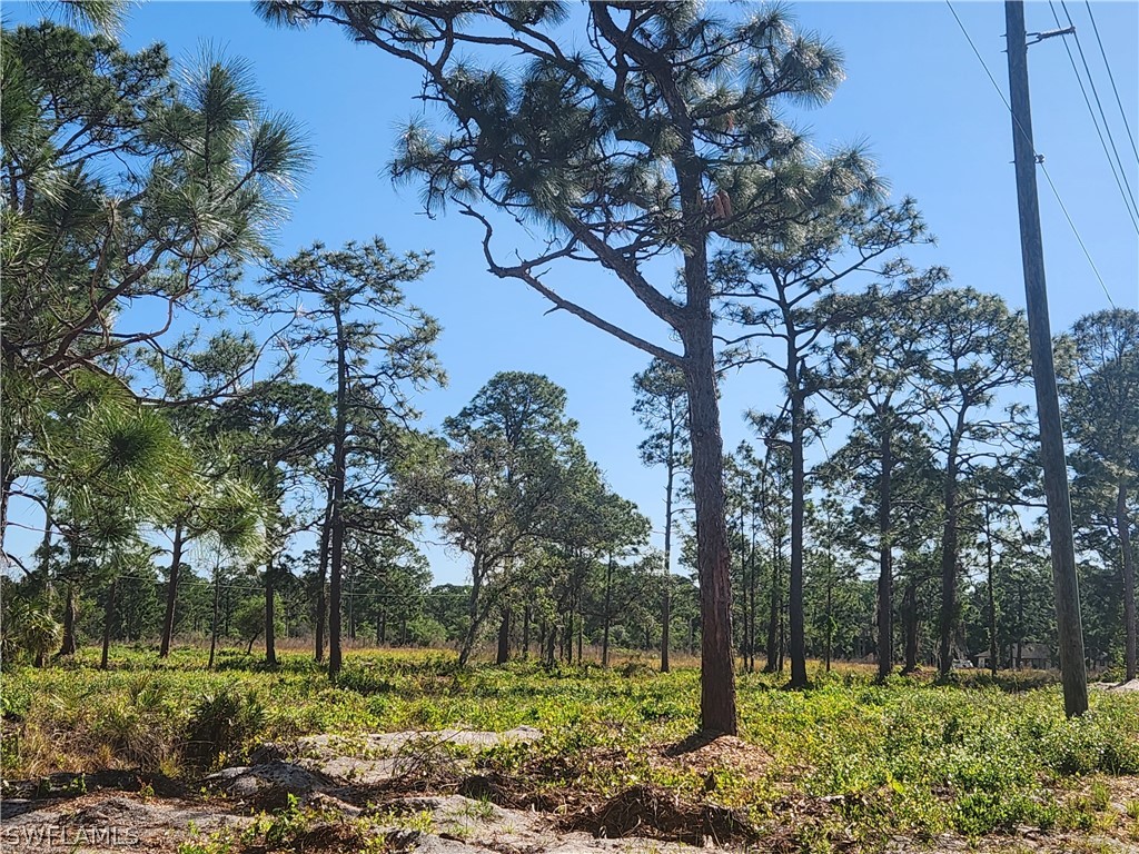 24690 Loblolly Bay Road Labelle FL 33935 224031726 image1