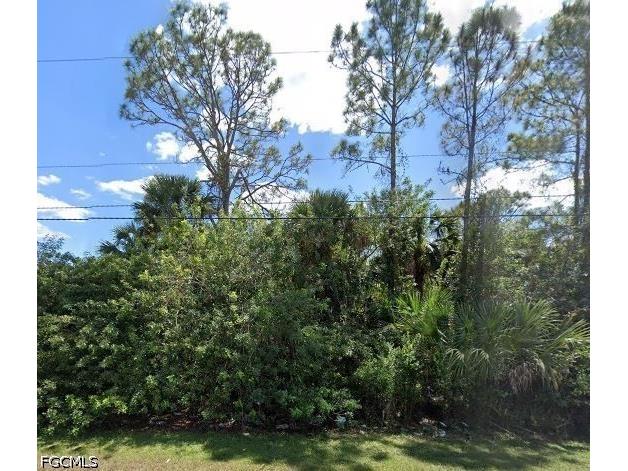 0 24th Avenue NE Naples FL 34120 2026019357 image2