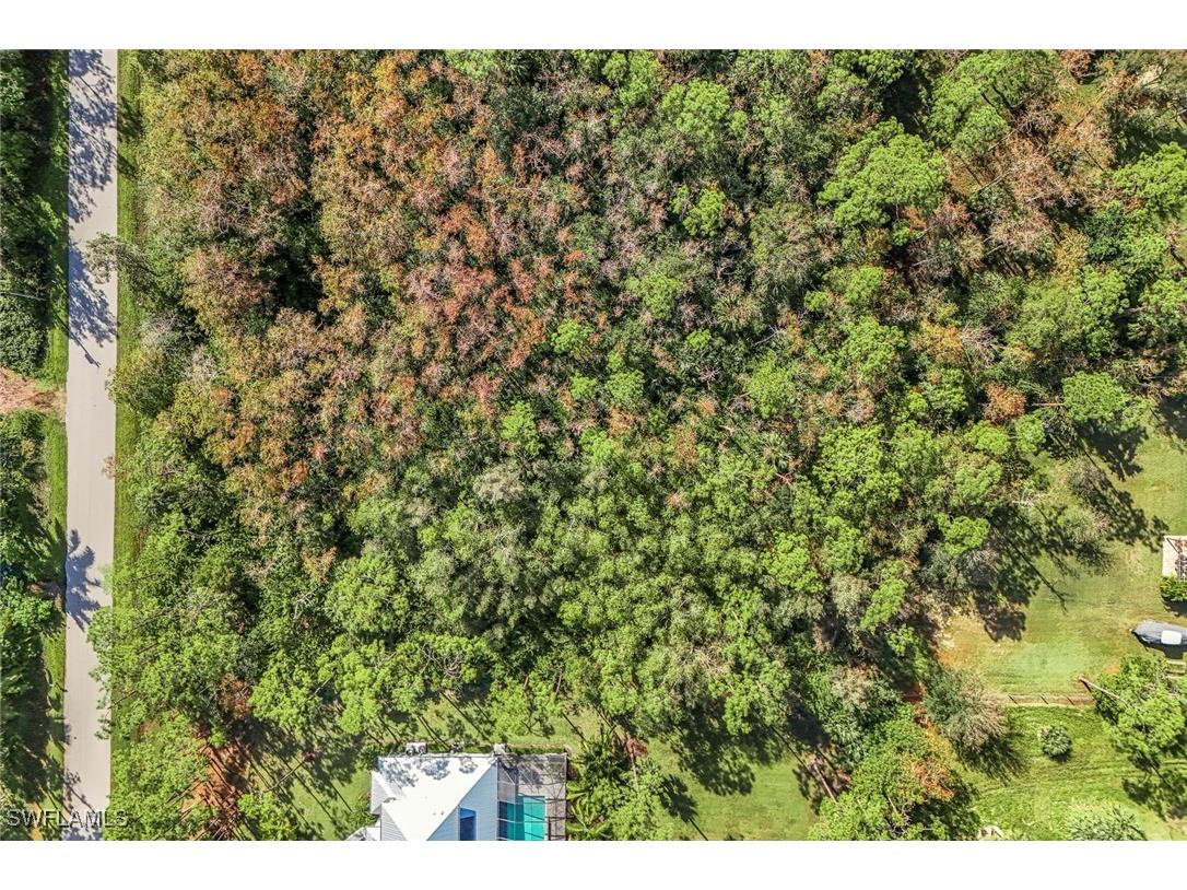 24742 Claire Street Bonita Springs FL 34135 225074707 image10