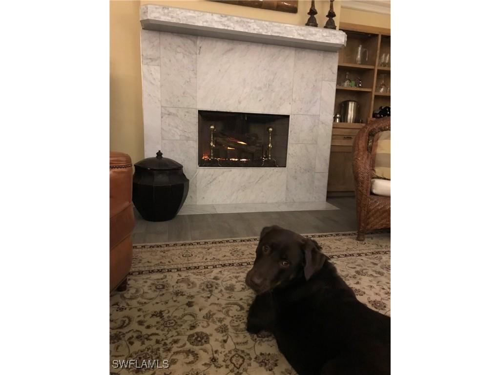 24760 Pennyroyal Drive Bonita Springs FL 34134 225067649 image36