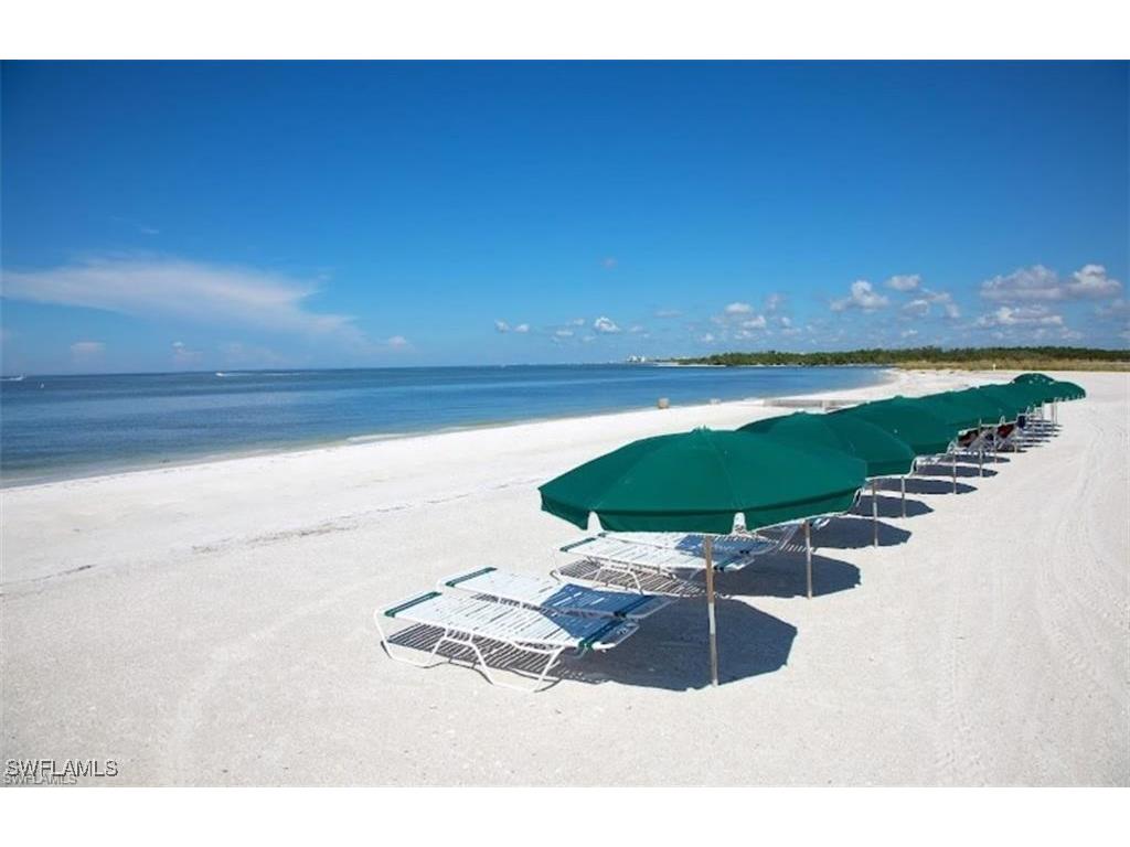 24784 Hollybrier Lane Bonita Springs FL 34134 225080155 image47