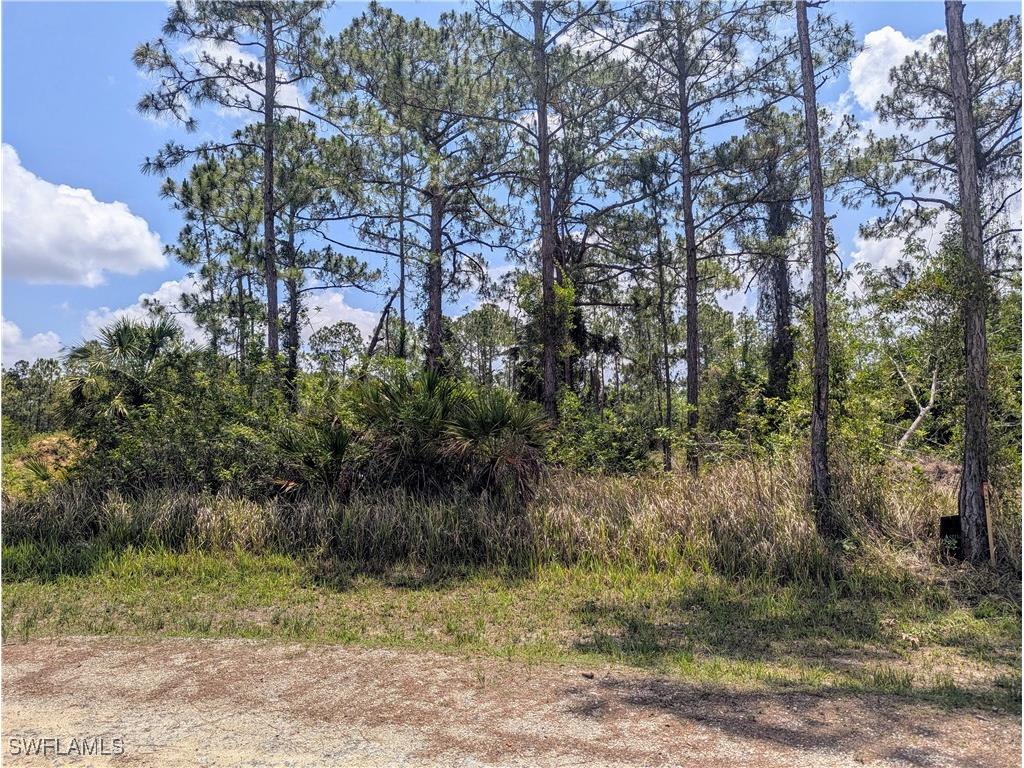 249 Andalucia Avenue S Lehigh Acres FL 33974 225052608 image1