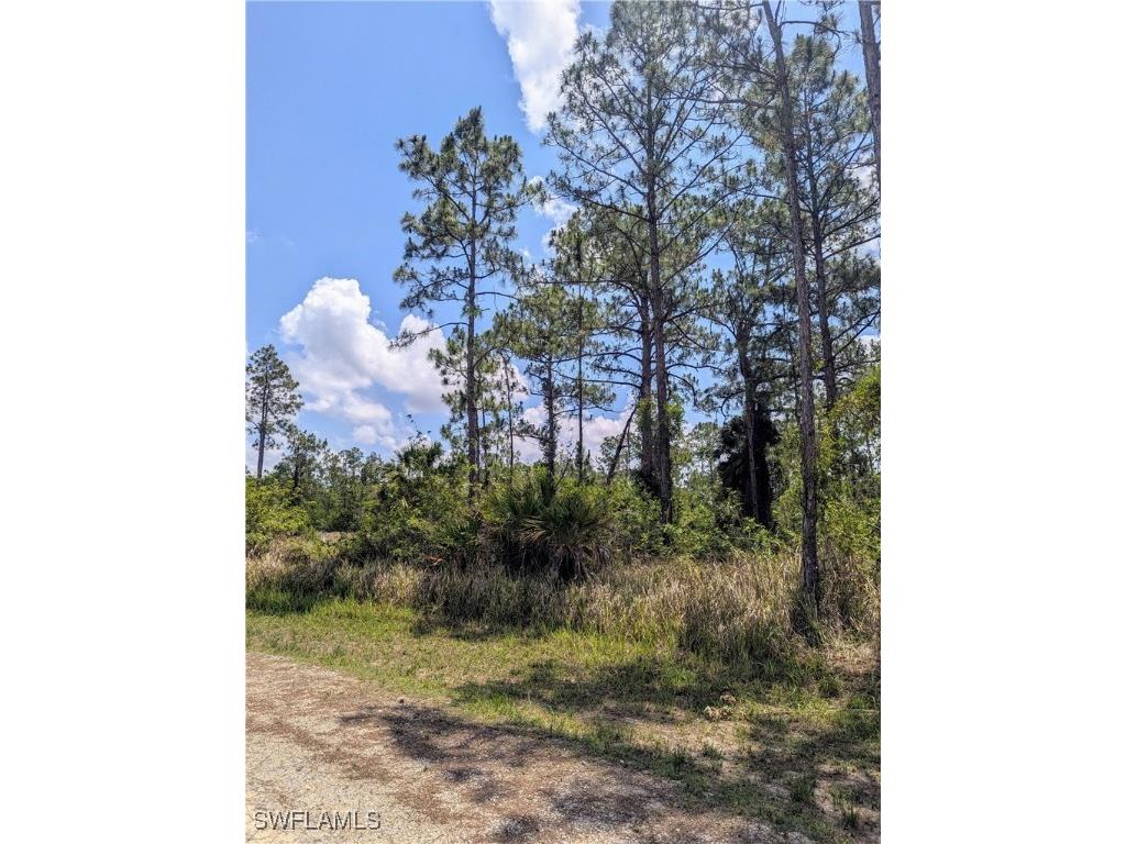 249 Andalucia Avenue S Lehigh Acres FL 33974 225052608 image2