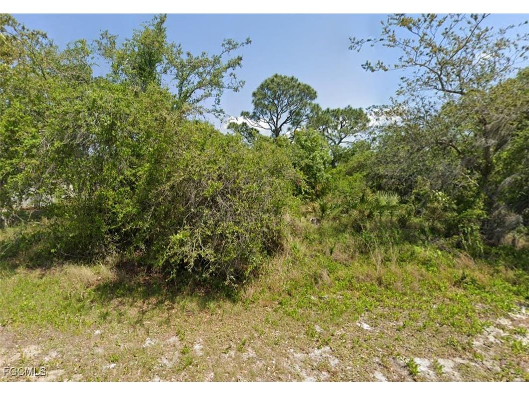 249 Grape Road NW Lake Placid FL 33852 2025007049 image1