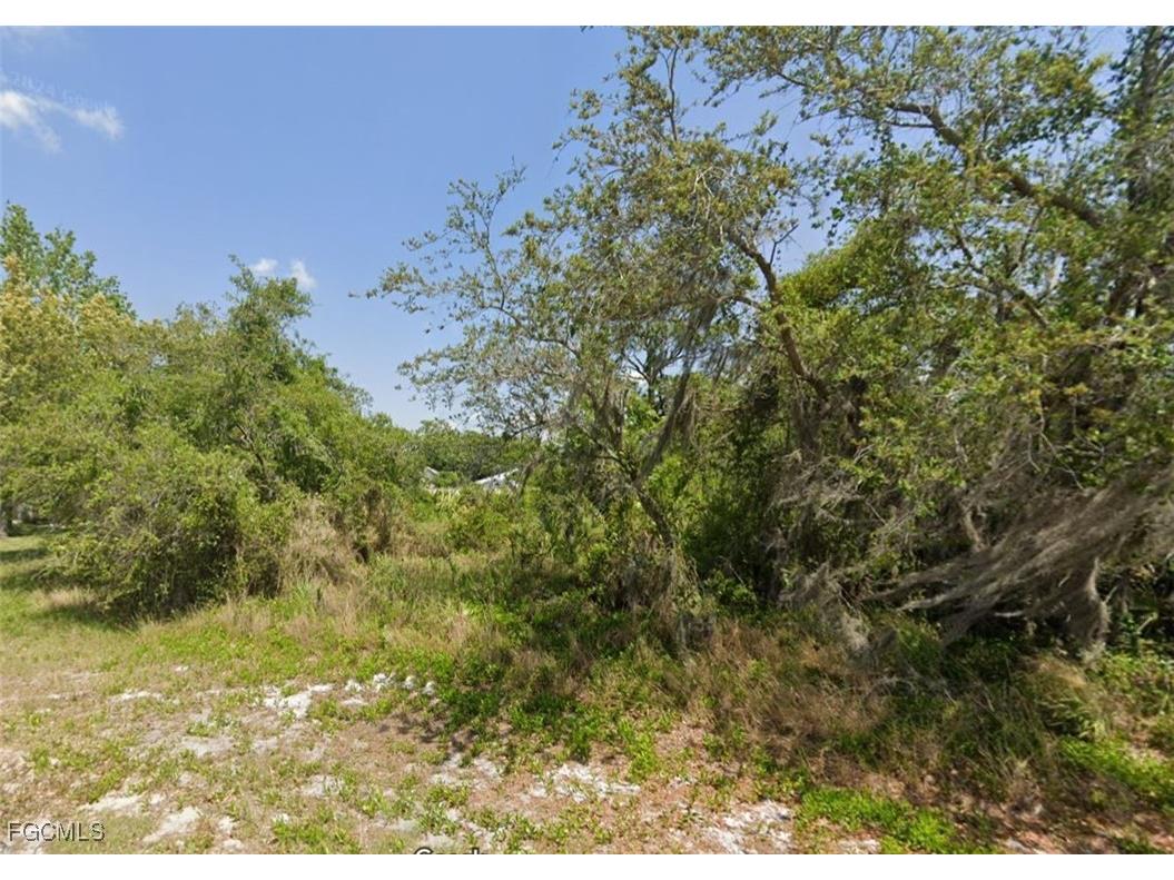 249 Grape Road NW Lake Placid FL 33852 2025007049 image2