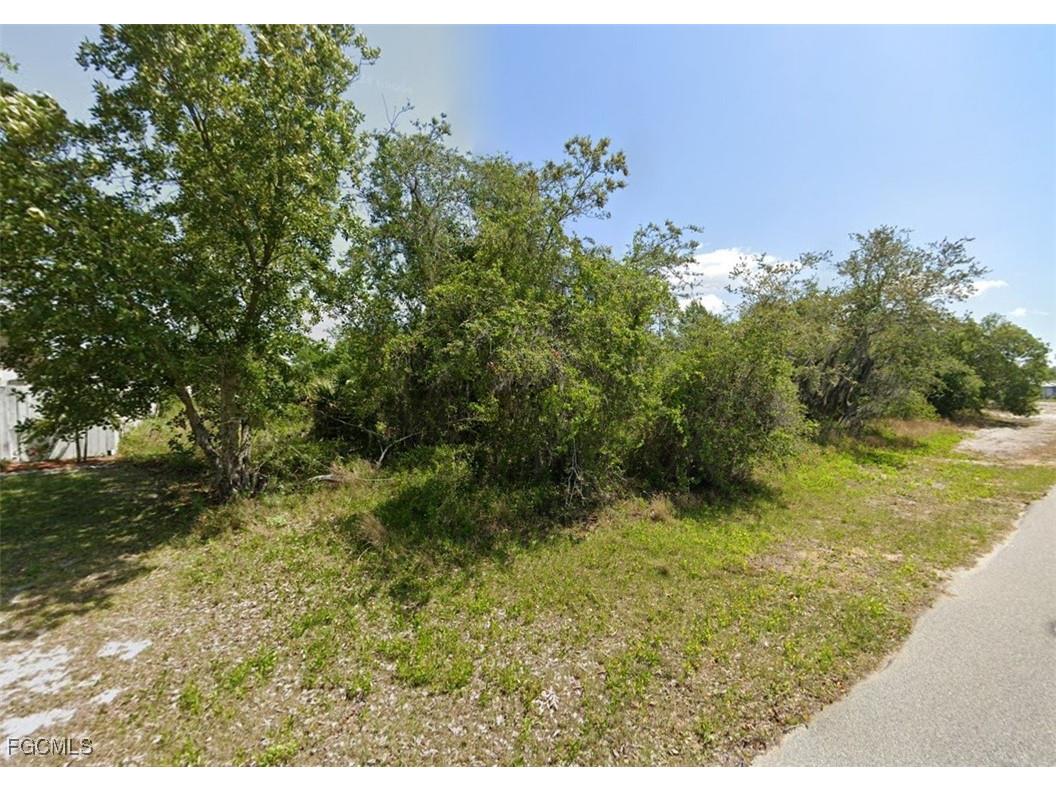 249 Grape Road NW Lake Placid FL 33852 2025007049 image3