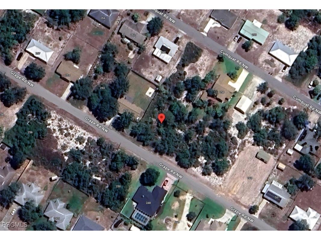 249 Grape Road NW Lake Placid FL 33852 2025007049 image6