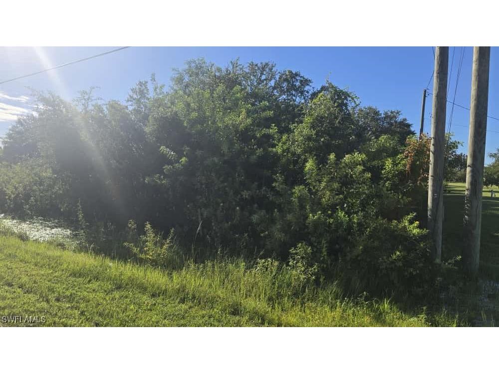 24TH Avenue NE Naples FL 34120 225072147 image3