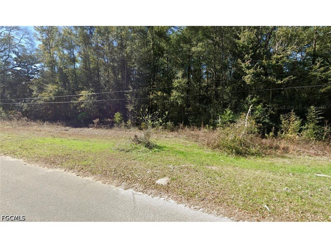 25-3N-19-19040-005-0050 N 4th Street Defuniak Springs FL 32433 2026031548 image3