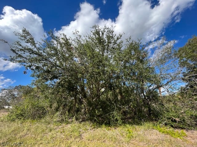 2500 52 Street SW Lehigh Acres FL 33973 222090617 image1