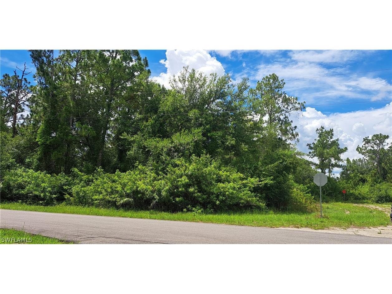 2500 Mabry Street Alva FL 33920 224054303 image1