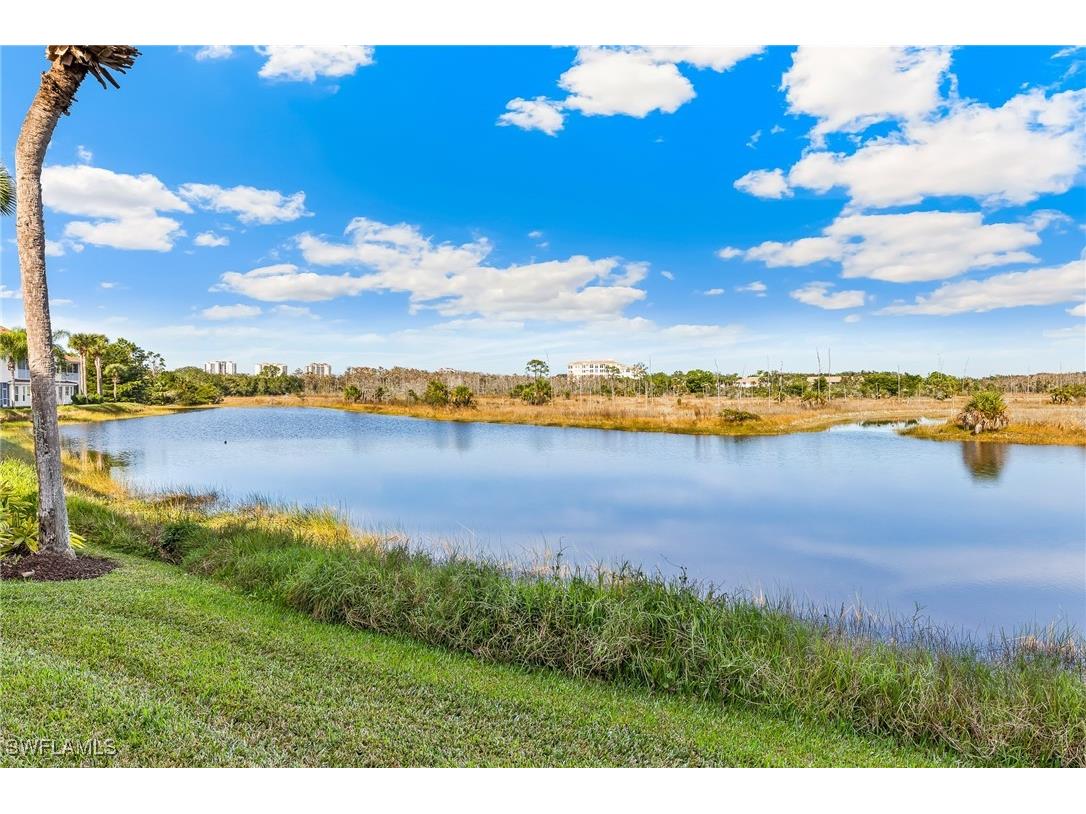 25000 Cypress Hollow Court #101 Bonita Springs FL 34134 225082973 image21