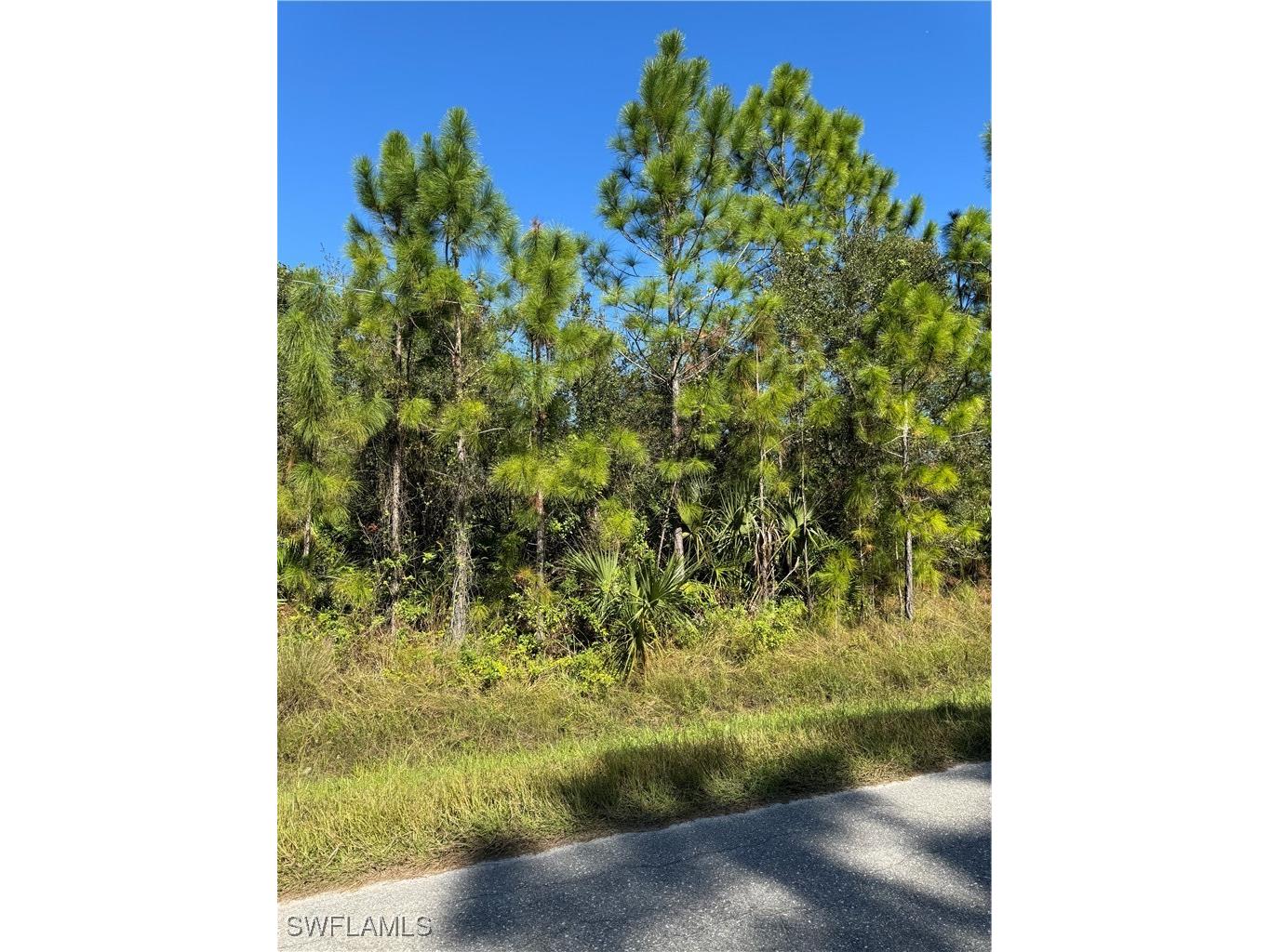 2501 E 9th Street Lehigh Acres FL 33936 224096031 image2