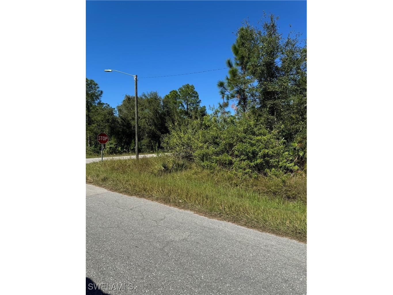 2501 E 9th Street Lehigh Acres FL 33936 224096031 image3