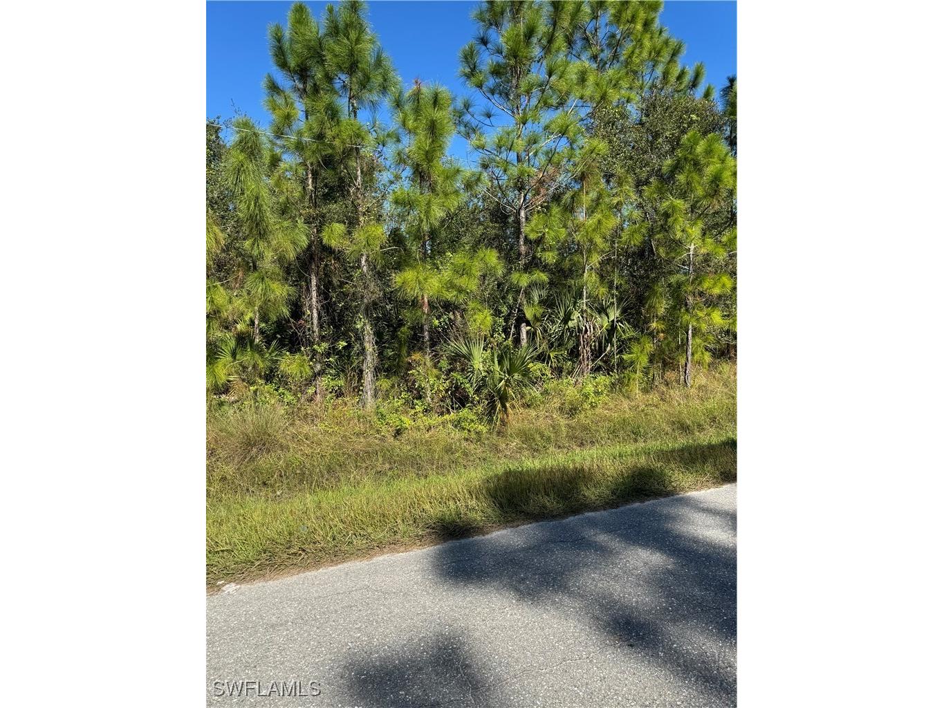 2501 E 9th Street Lehigh Acres FL 33936 224096031 image6