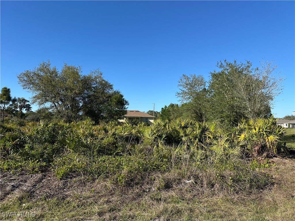 2502 26th Street SW Lehigh Acres FL 33976 225026141 image1