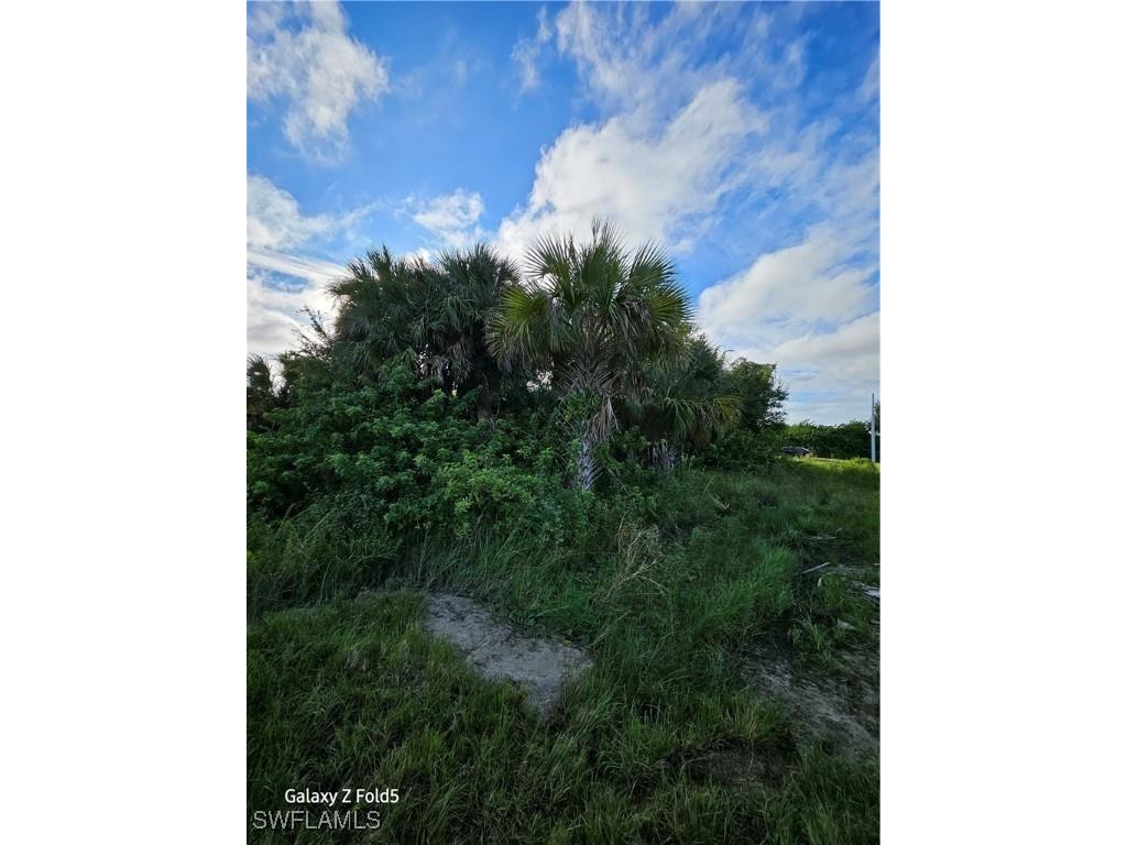 2504-2506 PARK ROAD Park Road Lehigh Acres FL 33971 225074499 image4