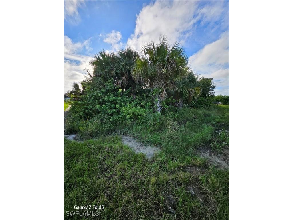 2504-2506 PARK ROAD Park Road Lehigh Acres FL 33971 225074499 image5