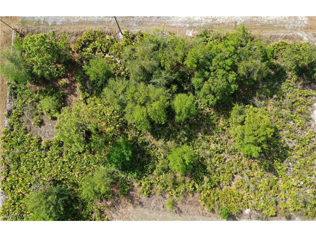 2504 28th Street SW Lehigh Acres FL 33976 223023577 image1