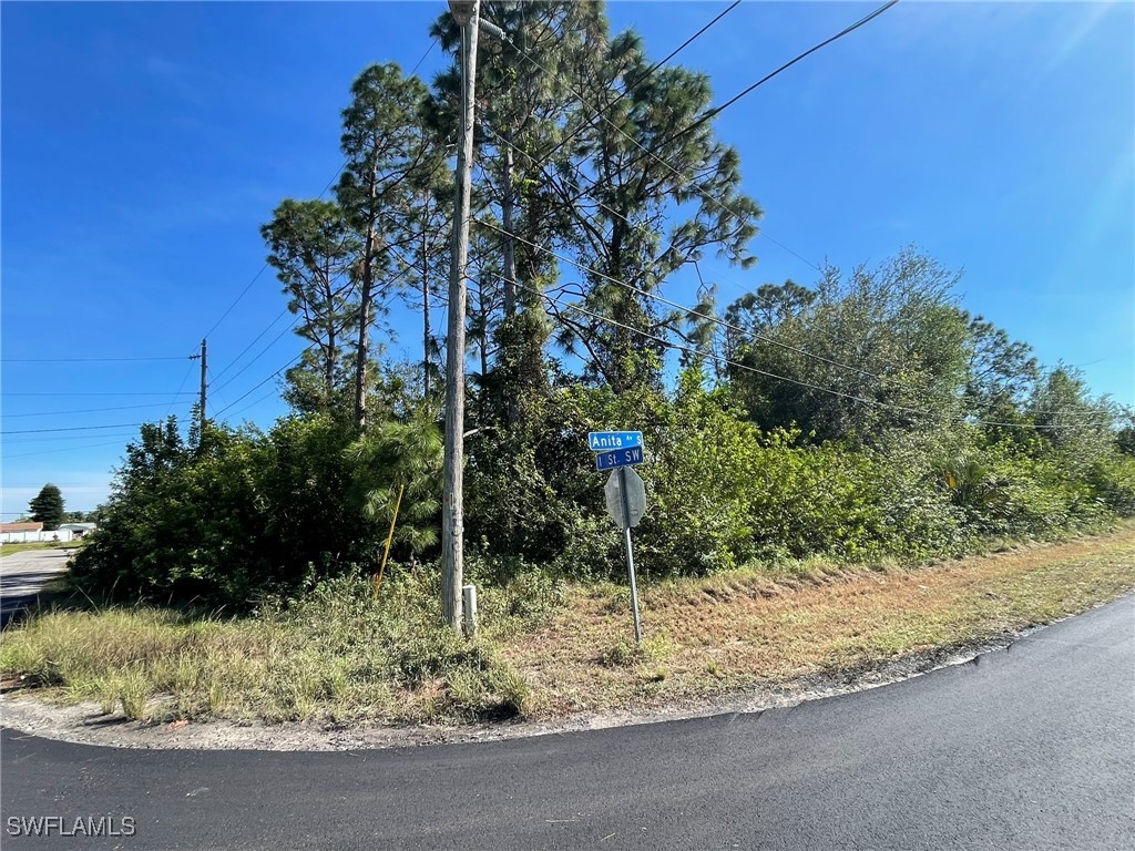 2505 1st Street Lehigh Acres FL 33976 224095100 image1