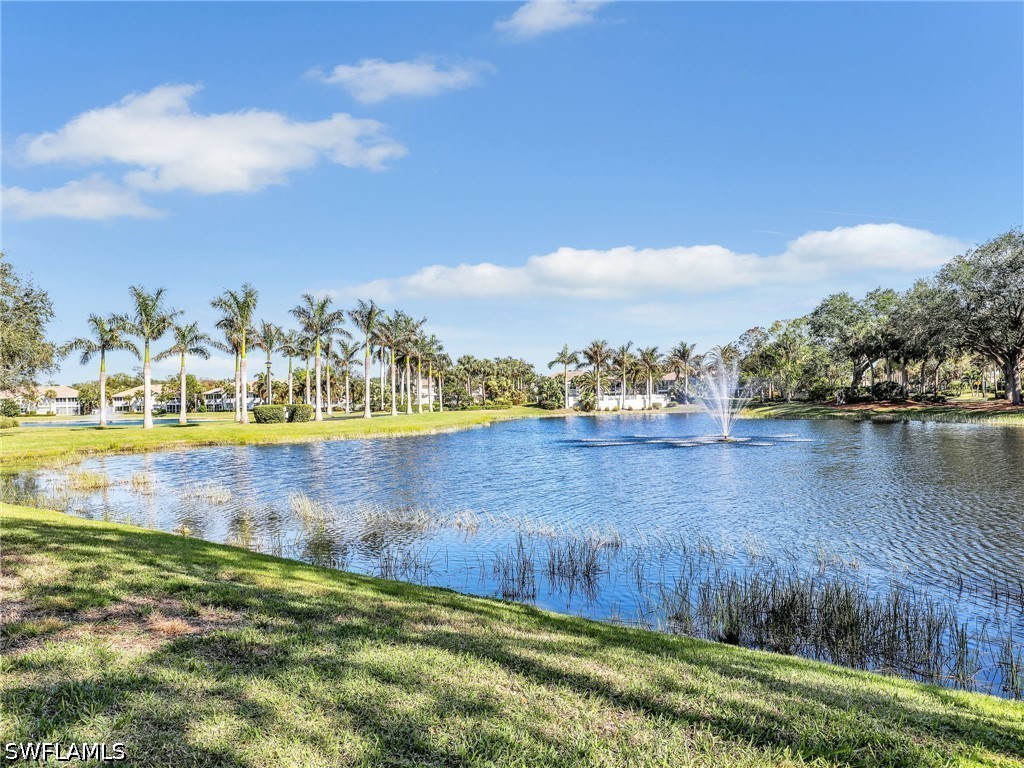 25051 Ballycastle Court #102 Bonita Springs FL 34134 226016868 image24