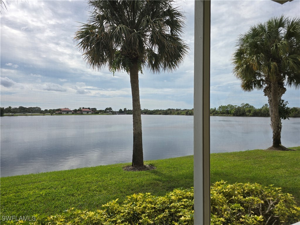 25069 Peacock Lane #101 Naples FL 34114 225076061 image39