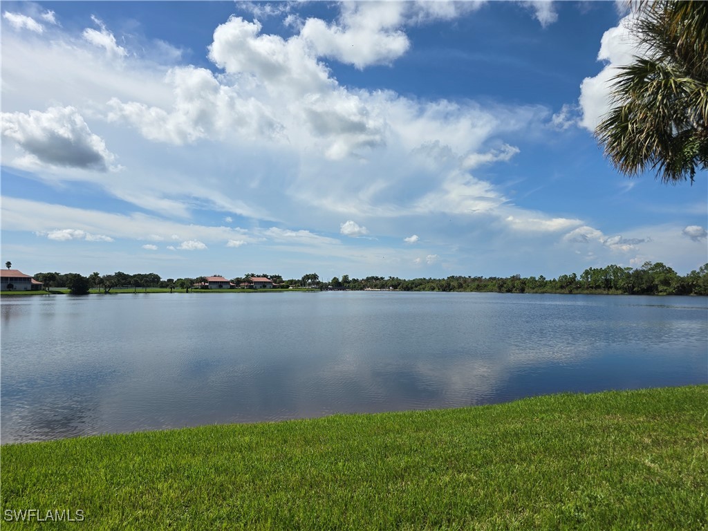 25069 Peacock Lane #101 Naples FL 34114 225076061 image43