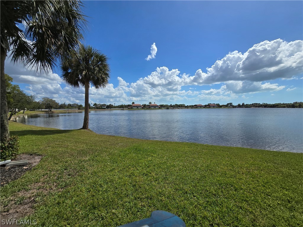 25069 Peacock Lane #101 Naples FL 34114 226009696 image15