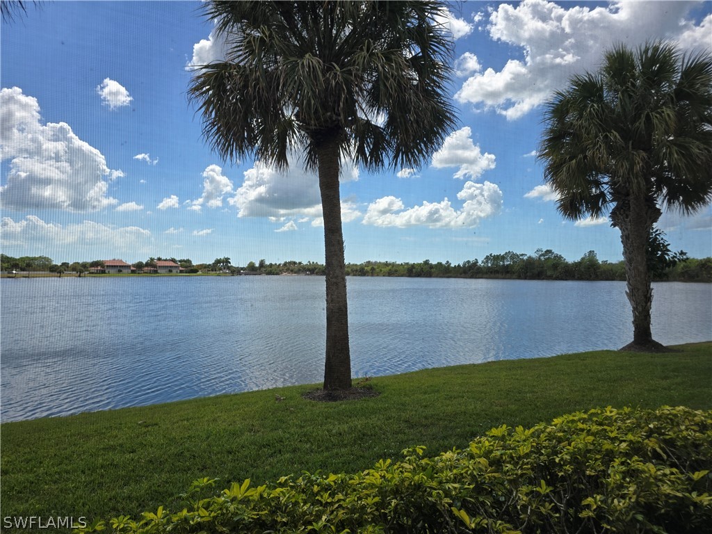 25069 Peacock Lane #101 Naples FL 34114 226009696 image27