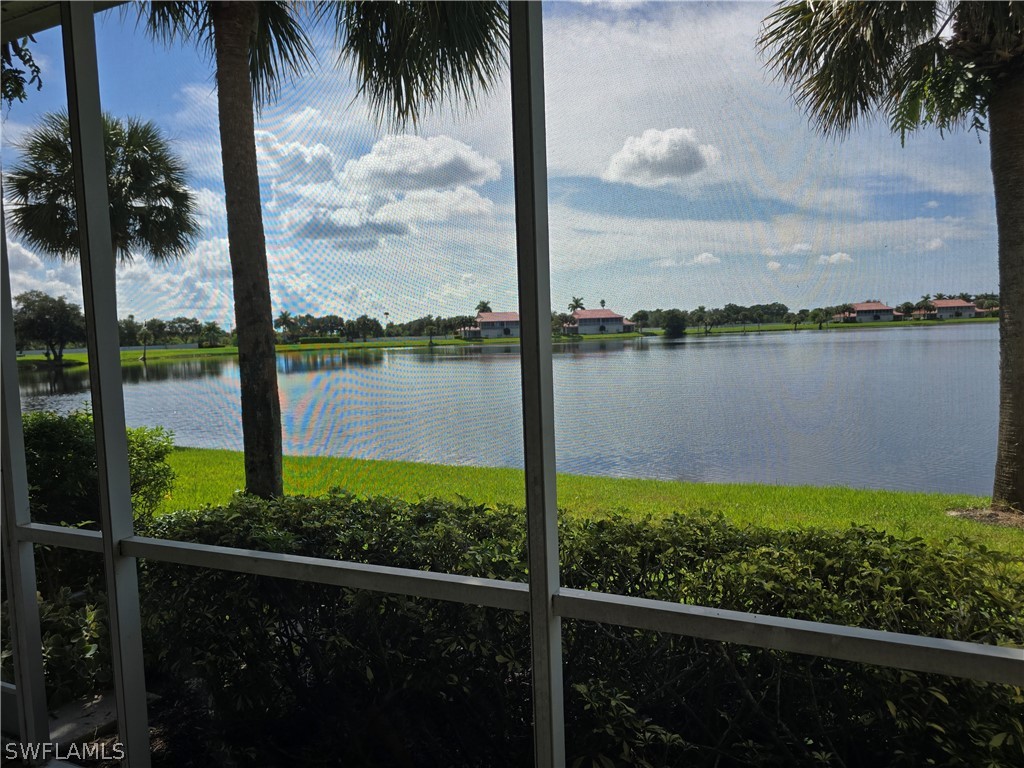 25069 Peacock Lane #101 Naples FL 34114 226009696 image29