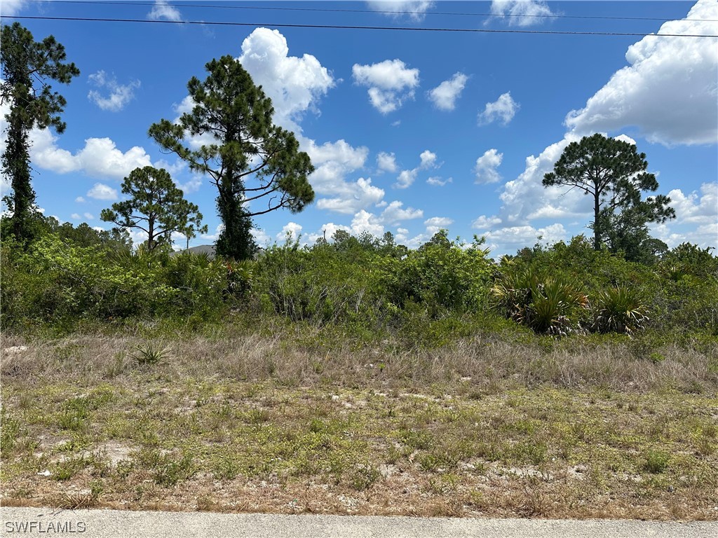 2508 33rd Street SW Lehigh Acres FL 33976 223038323 image1