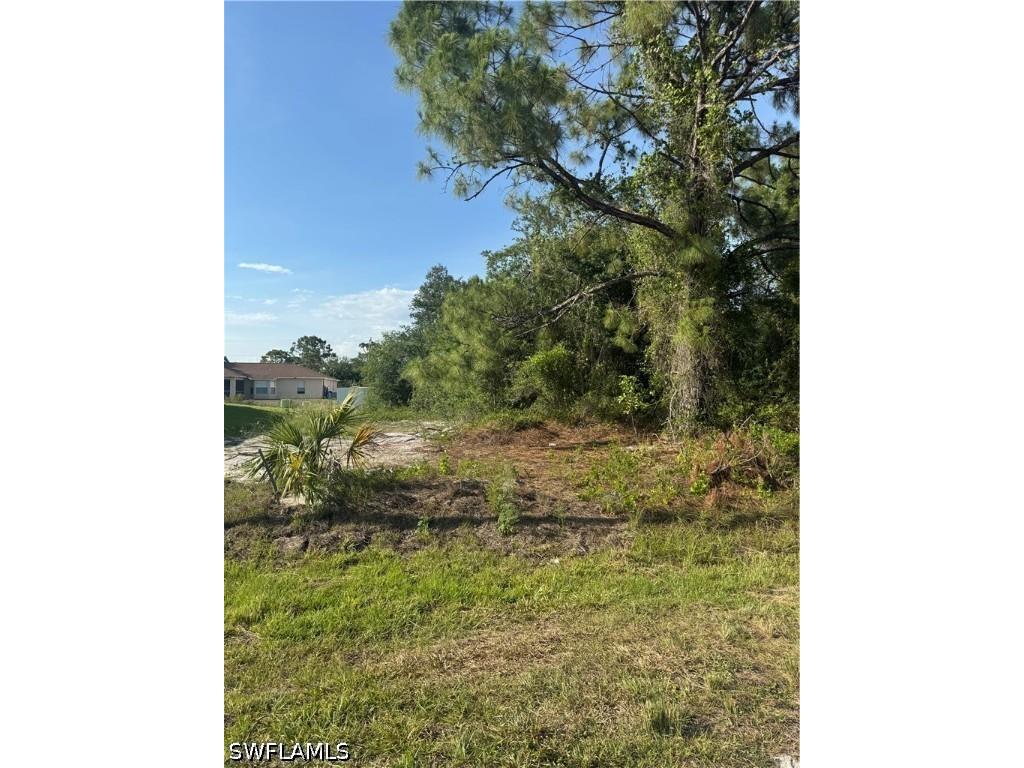 2508 53rd Street SW Lehigh Acres FL 33976 226010760 image2