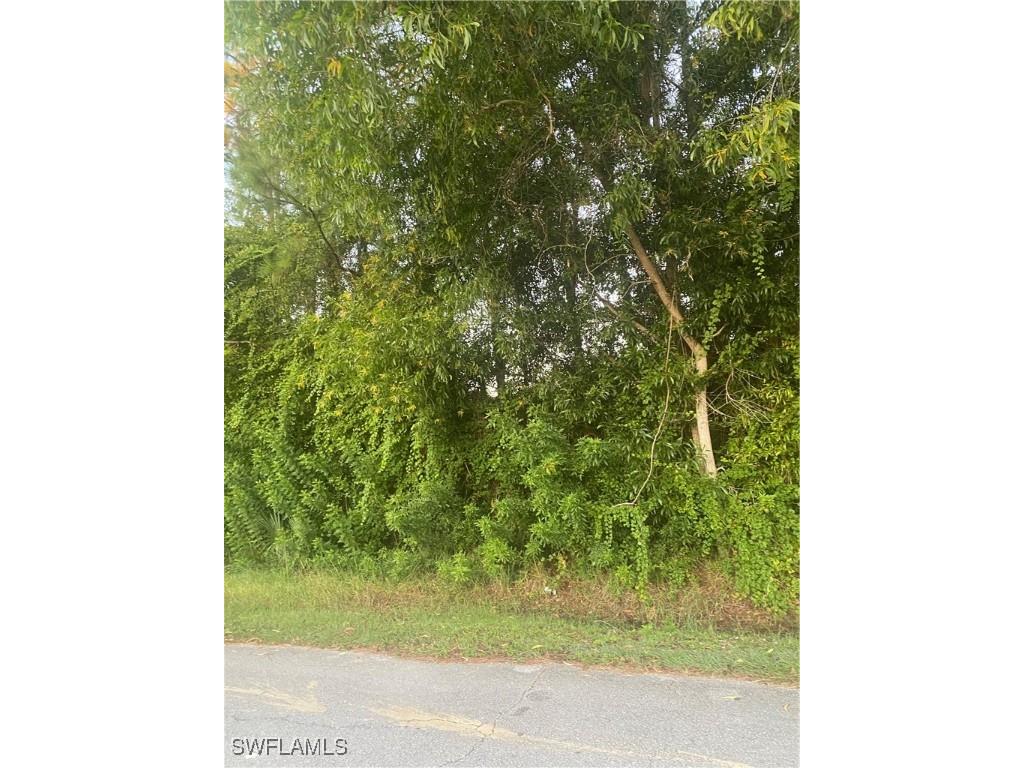 2508 Meadow Road Lehigh Acres FL 33974 225075061 image1