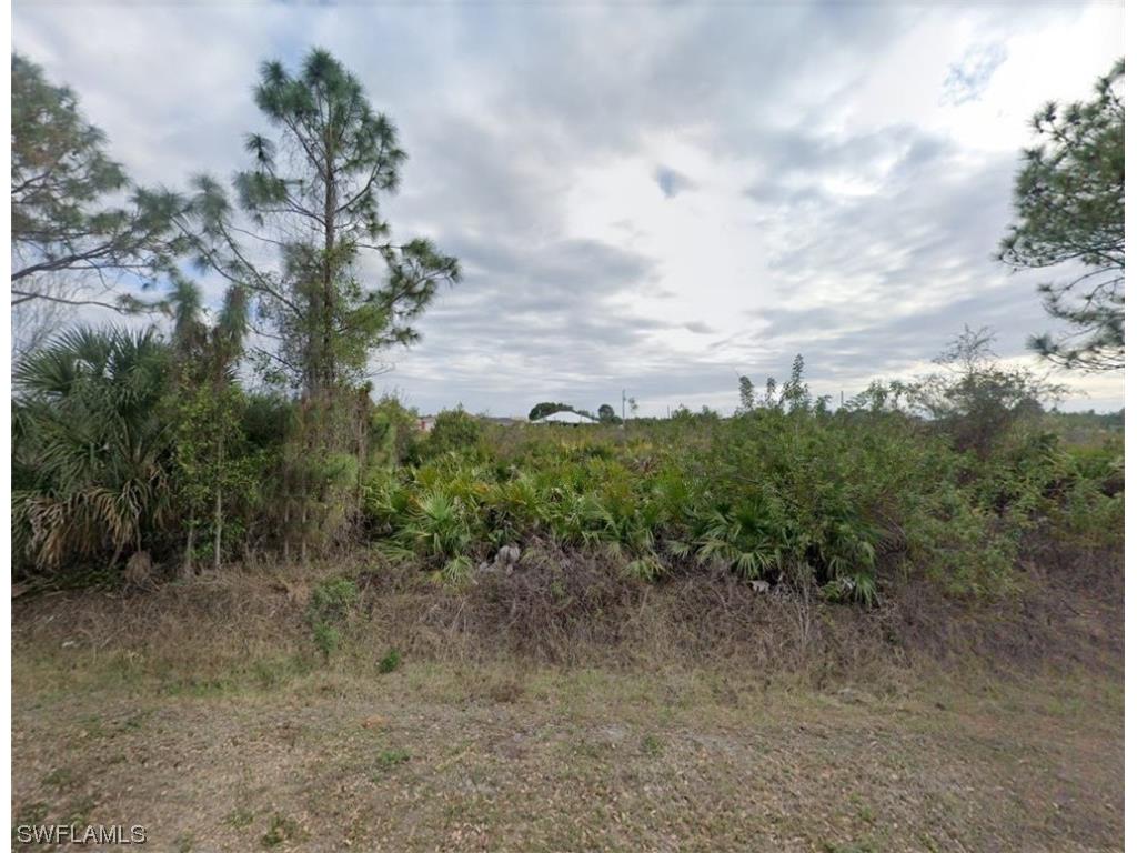 2511 24th Street SW Lehigh Acres FL 33976 223015941 image1