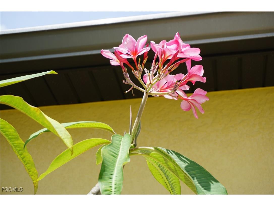 25115 Esmeralda Court Punta Gorda FL 33955 2025007022 image48