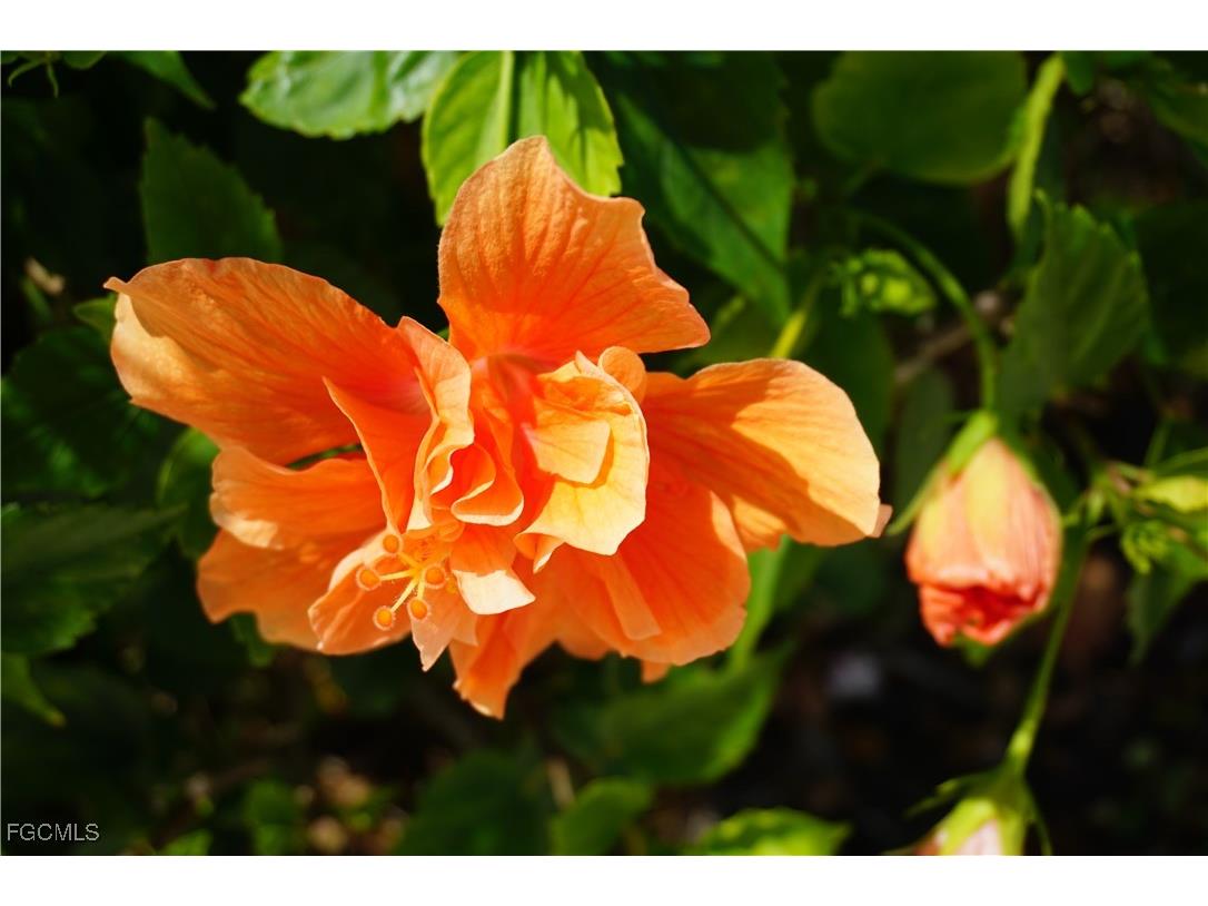 25115 Esmeralda Court Punta Gorda FL 33955 2025007022 image49