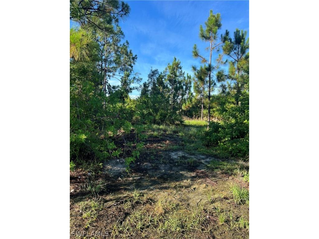 2513 39th Street SW Lehigh Acres FL 33976 224055680 image1