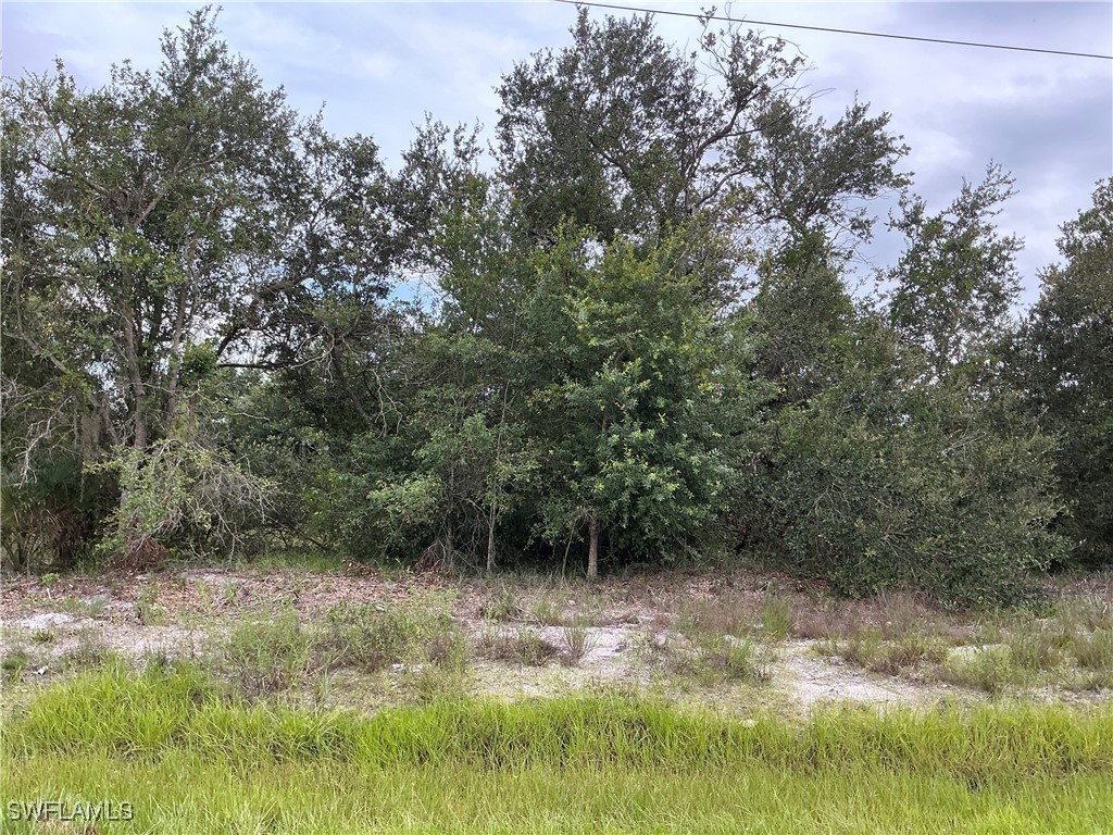 2515 53rd Street SW Lehigh Acres FL 33976 224069668 image1