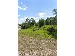 2515 54th Street W Lehigh Acres FL 33971 225074751 image3