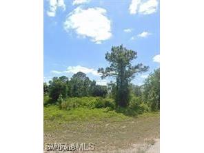 2515 54th Street W Lehigh Acres FL 33971 225074751 image4