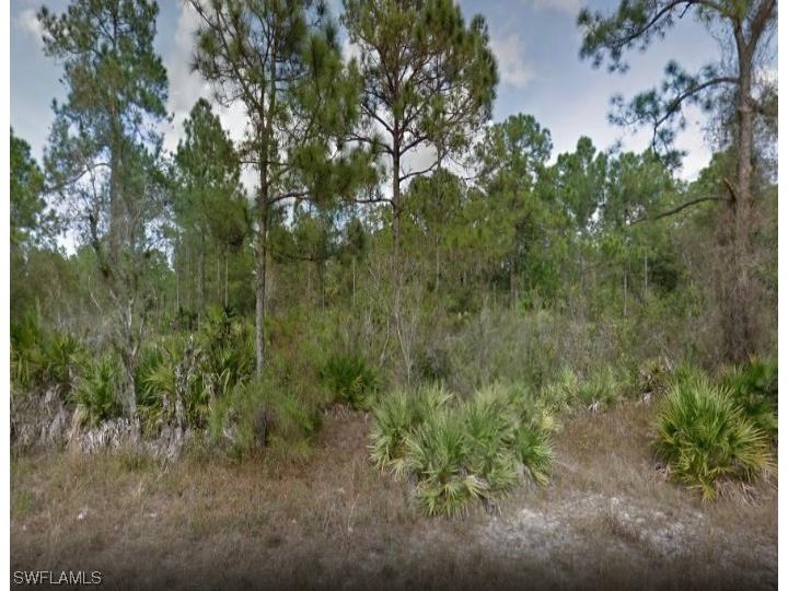 2517 Jetridge Street Alva FL 33920 223022805 image1