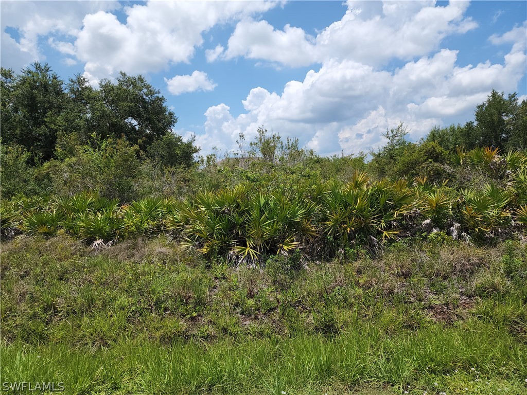 2519 13th Street SW Lehigh Acres FL 33976 222056305 image1