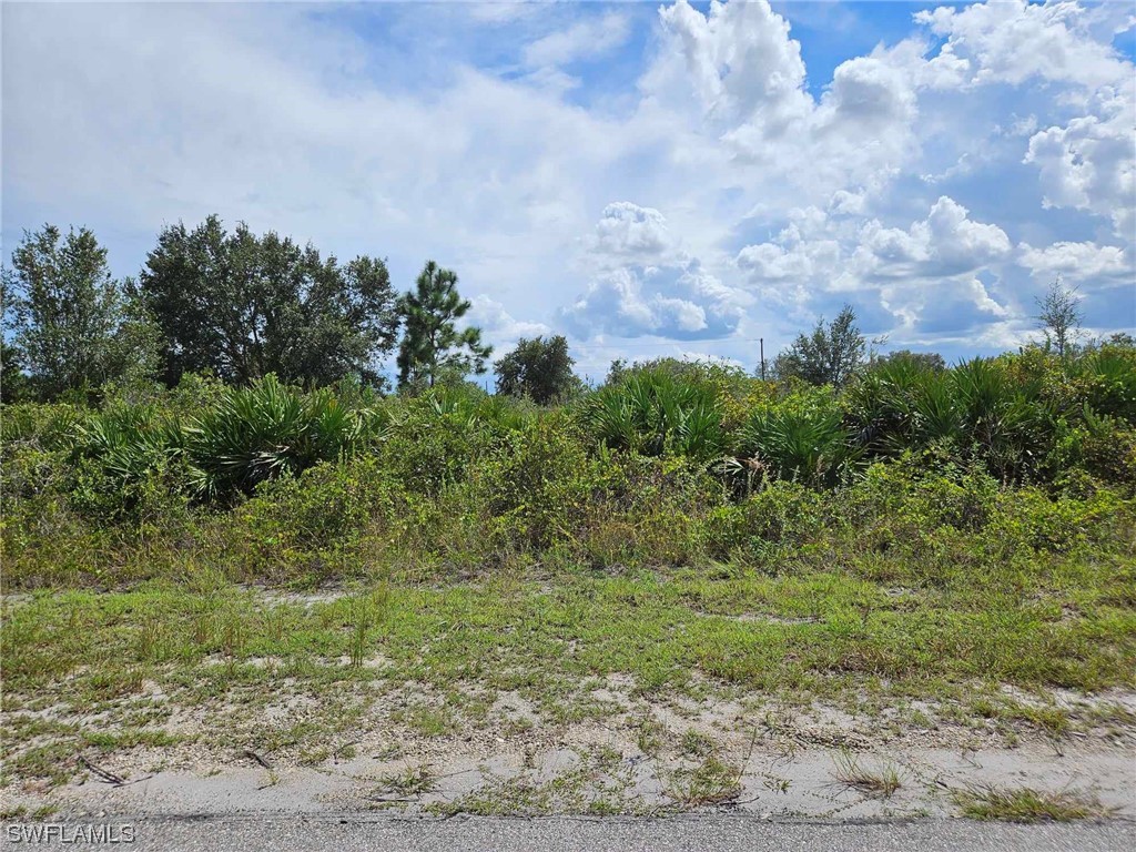 2519 58th Street W Lehigh Acres FL 33971 223063535 image1